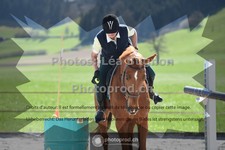 ref. photo 3548946