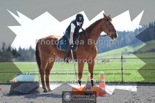 ref. photo 3548951