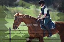 ref. photo 3548959
