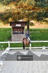 ref. photo 3548961