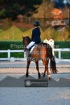 ref. photo 3548968