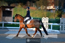 ref. photo 3548977
