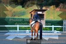 ref. photo 3549002