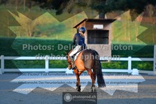ref. photo 3549003