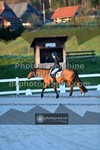 ref. photo 3549005