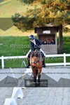 ref. photo 3549010