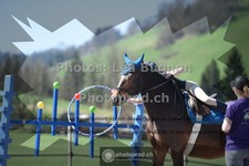 ref. photo 3549019