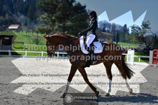 ref. photo 3549051
