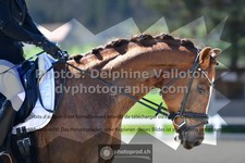 ref. photo 3549060