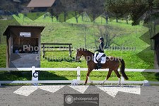 ref. photo 3549063