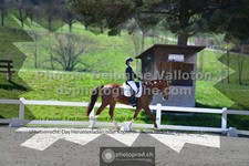 ref. photo 3549072