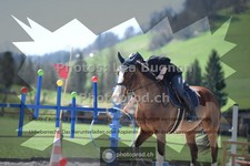 ref. photo 3549085