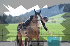 ref. photo 3549090