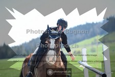 ref. photo 3549091