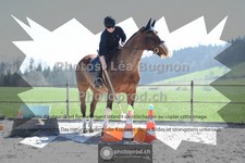 ref. photo 3549094