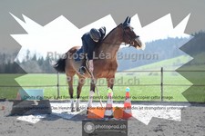 ref. photo 3549095