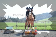 ref. photo 3549096