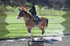 ref. photo 3549100