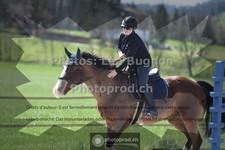 ref. photo 3549102
