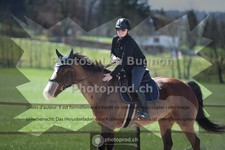 ref. photo 3549103