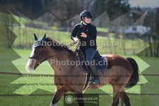 ref. photo 3549104