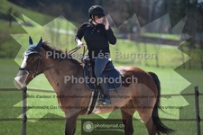 ref. photo 3549105