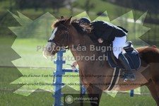 ref. photo 3549109