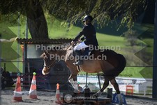 ref. photo 3549119