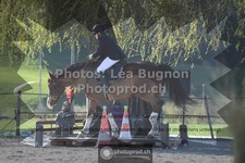 ref. photo 3549142