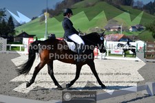 ref. photo 3549146