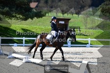 ref. photo 3549151