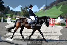 ref. photo 3549154