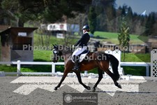 ref. photo 3549157