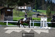 ref. photo 3549158