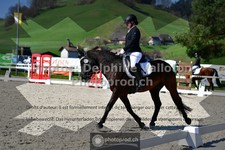 ref. photo 3549181