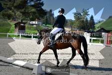 ref. photo 3549182