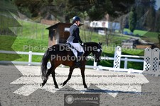 ref. photo 3549183