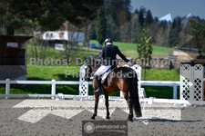 ref. photo 3549190
