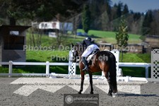 ref. photo 3549191