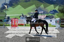 ref. photo 3549198