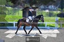 ref. photo 3549201