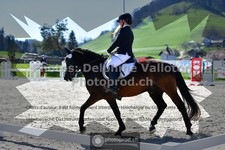 ref. photo 3549206