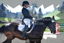 ref. photo 3549212