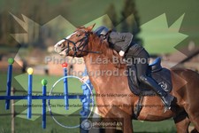 ref. photo 3549234