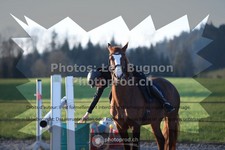 ref. photo 3549237