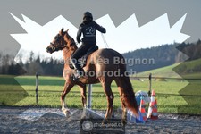 ref. photo 3549245