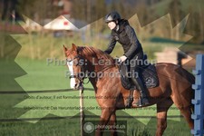ref. photo 3549251