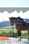 ref. photo 3549262