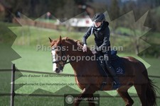 ref. photo 3549269