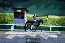 ref. photo 3549294